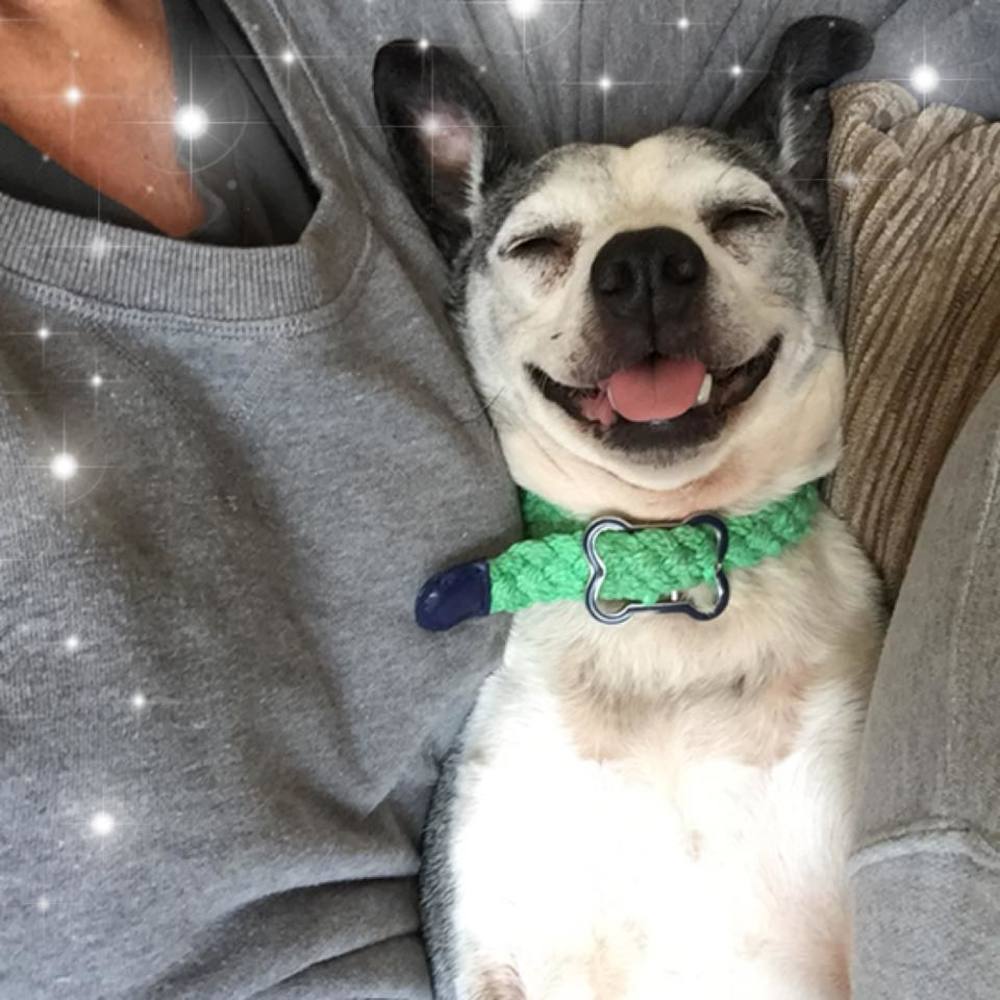 Meet your Posher, Renee